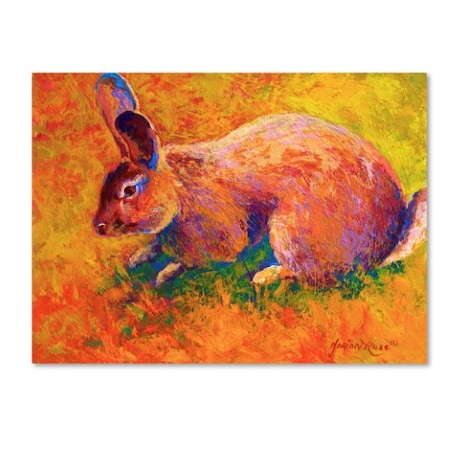 Marion Rose 'Rabbit 1' Canvas Art,24x32